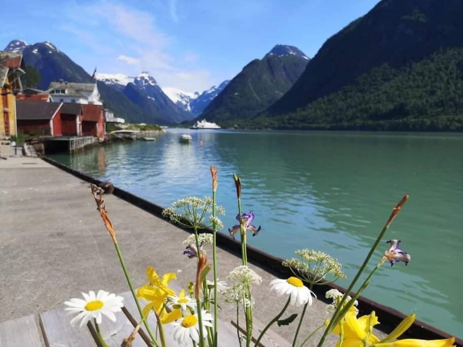 Ski- And Mountain Lodge Sogndal