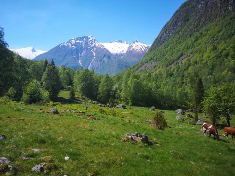 Lodge Ski- And Mountain